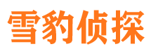 宁海侦探公司